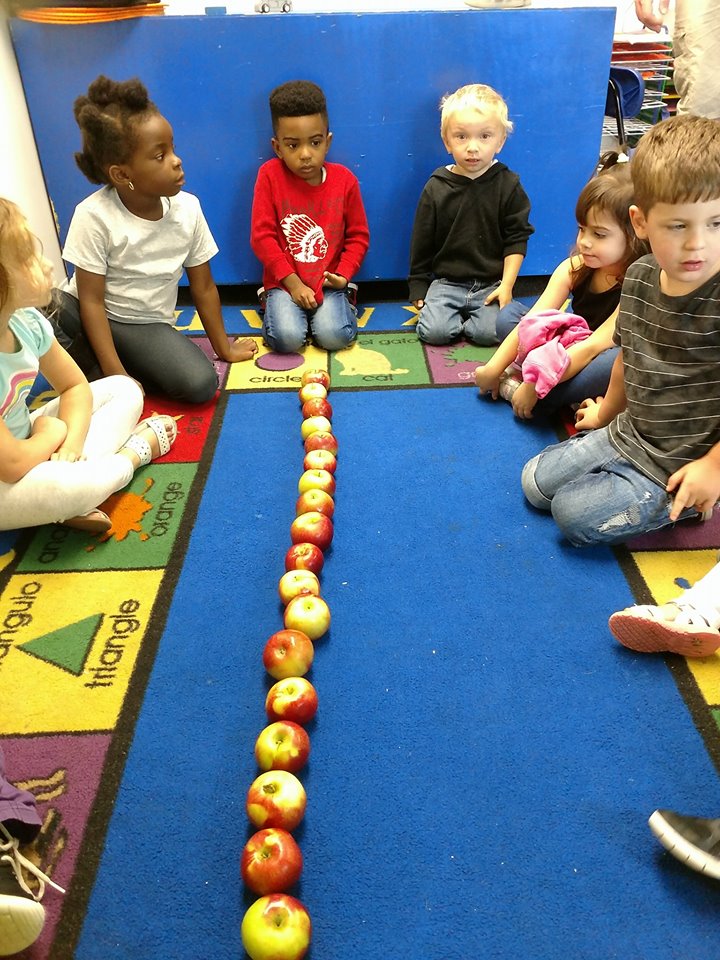 21617509_585516071572399_3525781787620779660_n